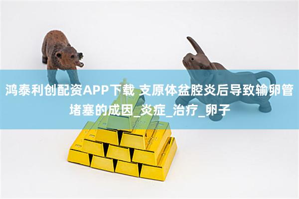鸿泰利创配资APP下载 支原体盆腔炎后导致输卵管堵塞的成因_炎症_治疗_卵子