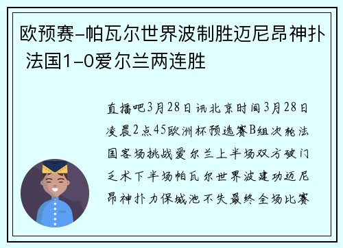 欧预赛-帕瓦尔世界波制胜迈尼昂神扑 法国1-0爱尔兰两连胜