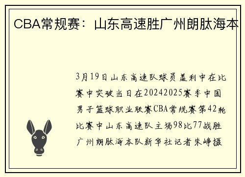 CBA常规赛：山东高速胜广州朗肽海本